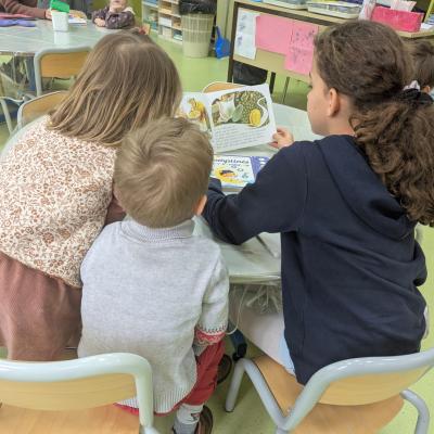 Whatsapp Image 2026 03 06 At 09.15.32